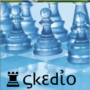 Skedio